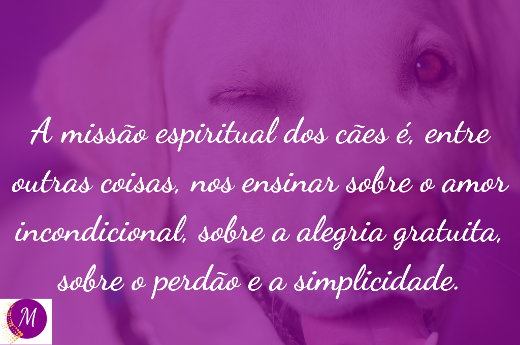 A missão espiritual dos cães.