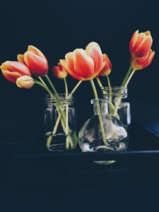 red and yellow tulips in clear glass jar and vase still life painting