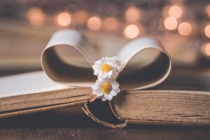 close up photo of flowers in the middle of book page